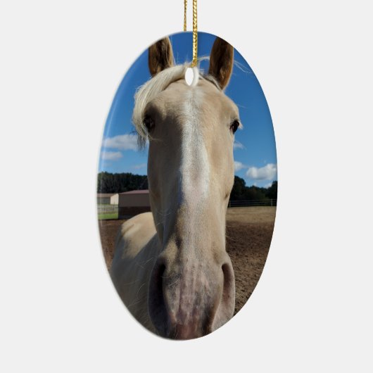 Champagne Tennessee Wanderross Ornament (Rechts)