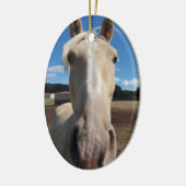 Champagne Tennessee Wanderross Ornament (Links)