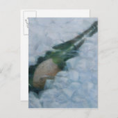 Champagner auf Eis 2012 Postkarte (Vorne/Hinten)