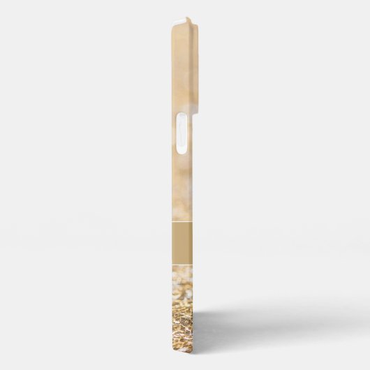 Champagnergold Imitat Glitzer Glitzern Monogram iPhone Hülle (Rechte Seite)