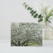 Champaign, Illinois Springtime Postkarte (Stehend Vorderseite)