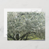 Champaign, Illinois Springtime Postkarte (Vorne/Hinten)