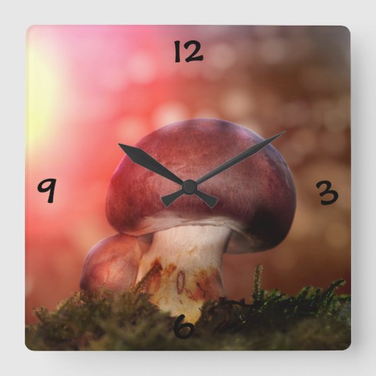 Champignon Quadratische Wanduhr (Vorderseite)