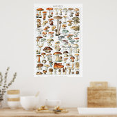 Champignons - Sammlung von Pilzen Poster (Küche)