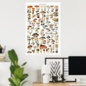 Champignons - Sammlung von Pilzen Poster (Heimbüro)