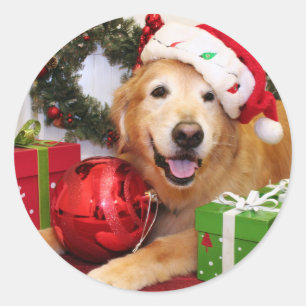 Champion - golden retriever - Lukas Runder Aufkleber