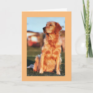 Champion Golden Retriever Wunderbarer Hund Karte
