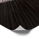 Champion Print Poster (Ecke)