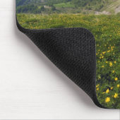 Champions-Durchlauffrühling französisches Mousepad (Ecke)