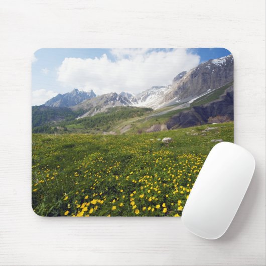 Champions-Durchlauffrühling französisches Mousepad (Mit Mouse)