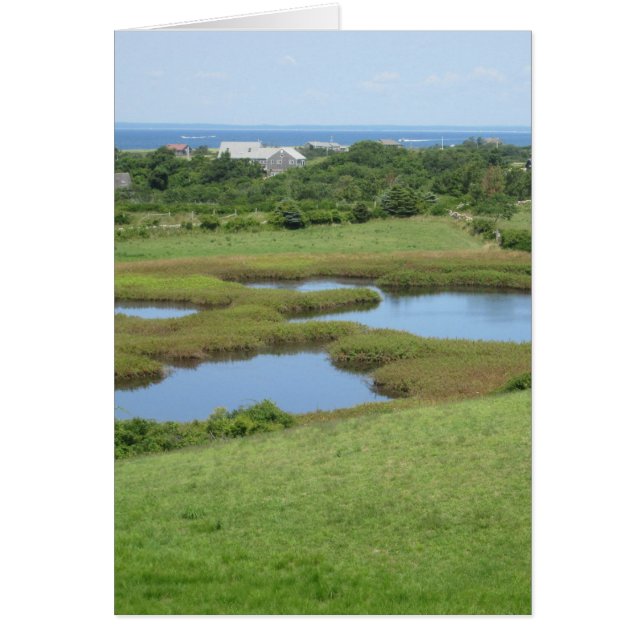 Champlin Road Meadow Block Island (Vorne)