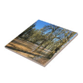 Champoeg Staat Park, Saint Paul, OR Fliese (Seite)