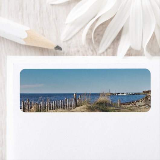 Chance Harbour (Insitu)