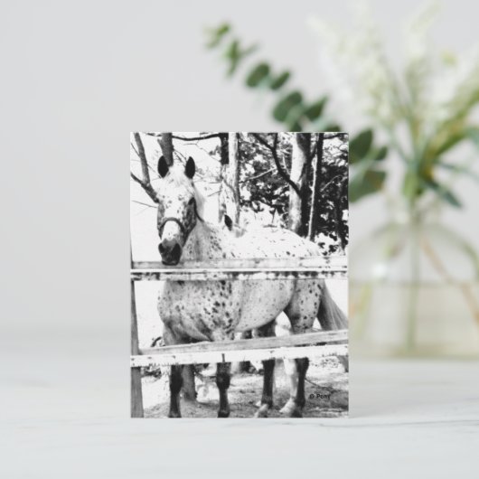 Chance Postkarte (Stehend Vorderseite)