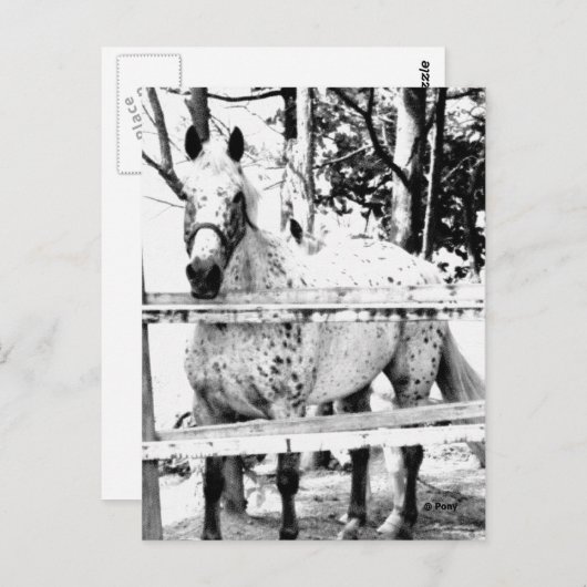 Chance Postkarte (Vorne/Hinten)