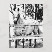 Chance Postkarte (Vorderseite)