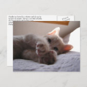 Chandler Postkarte (Vorne/Hinten)