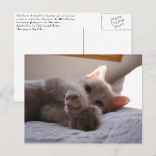 Chandler Postkarte (Vorne/Hinten)