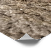 CHANG MAI ELEPHANT EYE POSTER (Ecke)