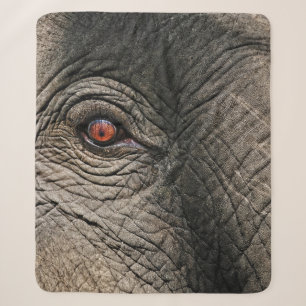 CHANG MAI ELEPHANT EYE SHERPADECKE