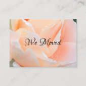 Change of Address Card – Elegant Peach Rose Visitenkarte (Vorderseite)