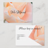 Change of Address Card – Elegant Peach Rose Visitenkarte (Vorne/Hinten)