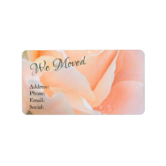 Change of Address – Elegant Peach Rose Floral Adressaufkleber