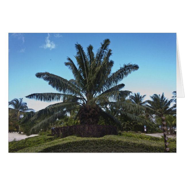 Chankanaab, Cozumel, Mexiko (Vorderseite (Horizontal))