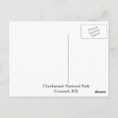 Chankanaab-Nationalpark in Cozumel Postkarte (Rückseite)