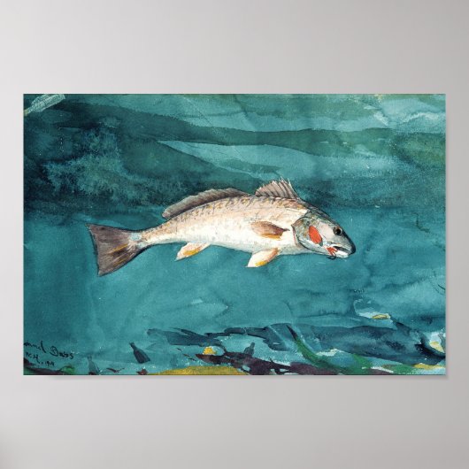 Channel Bass American Painting von Homer Poster (Vorne)