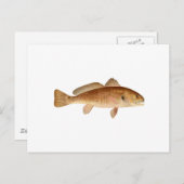 Channel-Bass-Logo Postkarte (Vorne/Hinten)