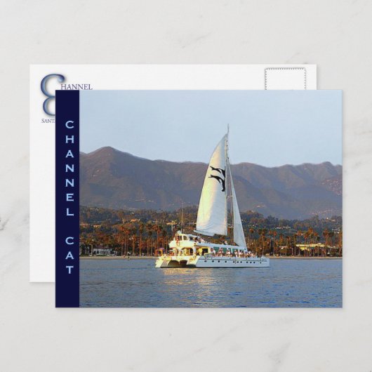 Channel Cat bei Sunset Postkarte (Vorne/Hinten)