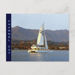 Channel Cat bei Sunset Postkarte