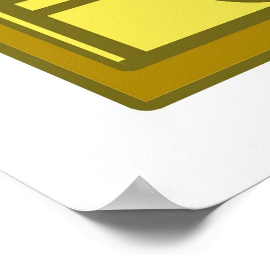 Channel Island Fox Poster (Ecke)