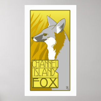 Channel Island Fox Poster