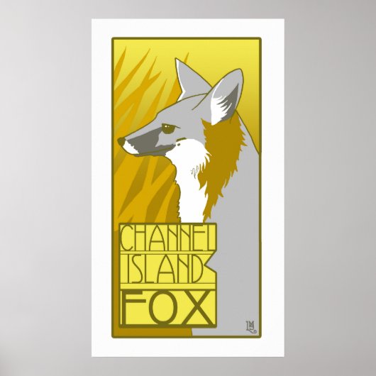 Channel Island Fox Poster (Vorne)