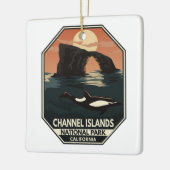 Channel Islands National Park Dolphin Retro Emblem Keramikornament (Links)