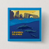 Channel Islands National Park Dolphins Button (Vorderseite)