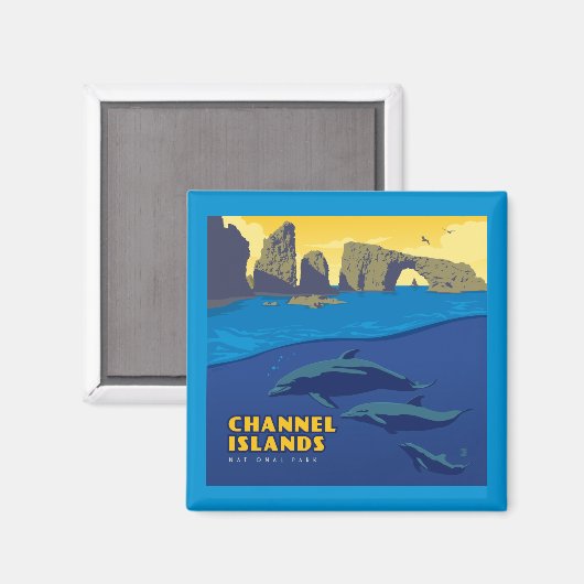 Channel Islands National Park Dolphins Magnet (Vorderseite/Rückseite)