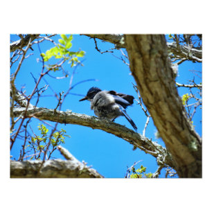 Channel Islands National Park Fotodruck