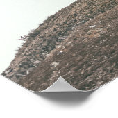Channel Islands National Park Lighthouse Poster (Ecke)