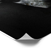 Channel Whelk Poster (Ecke)