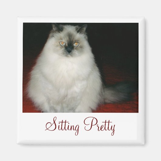 Chantal the Cat Sitting Hübsch Magnet (Vorne)