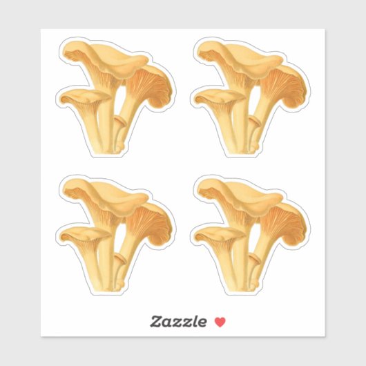 Chanterelle Mushroom Vintag Botanische Illustratio Aufkleber (Blatt)