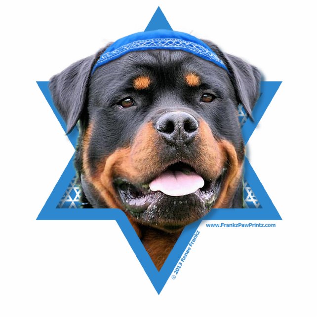 Chanukka-Davidsstern - Rottweiler Freistehende Fotoskulptur (Vorne)