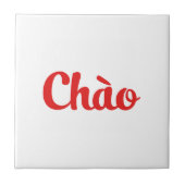 Chào / Hello ~ Vietnam / Vietnamese / Tiet ng Vivi Fliese (Vorderseite)