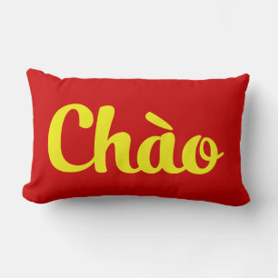 Chào / Hello ~ Vietnam / Vietnamese / Tiet ng Vivi Lendenkissen