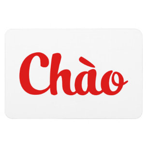 Chào / Hello ~ Vietnam / Vietnamese / Tiet ng Vivi Magnet