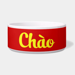 Chào / Hello ~ Vietnam / Vietnamese / Tiet ng Vivi Napf