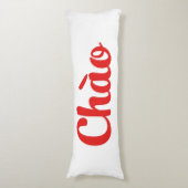 Chào / Hello ~ Vietnam / Vietnamese / Tiet ng Vivi Seitenschläferkissen (Vorderseite Vertikal)